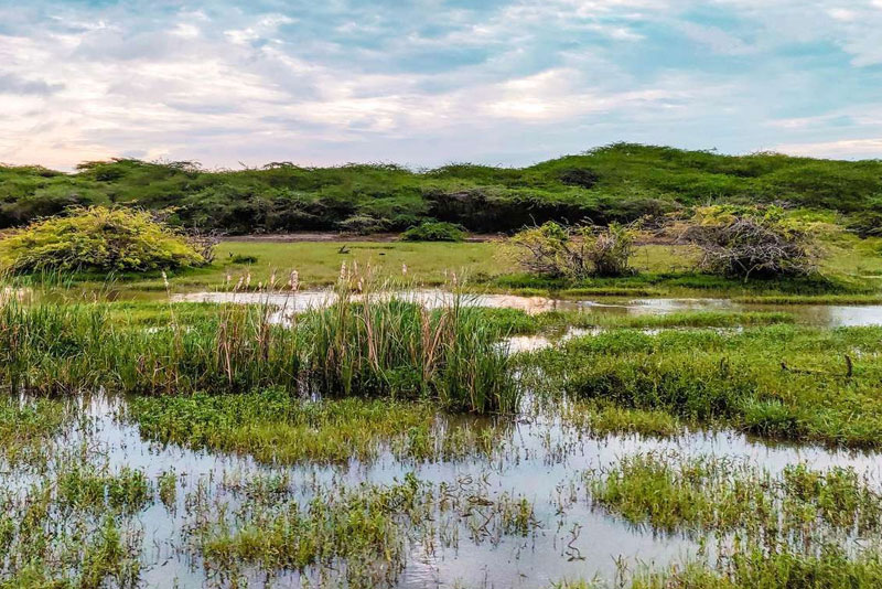 Bundala National Park