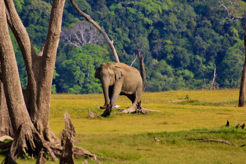 Gal Oya National Park