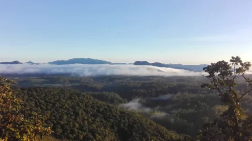 Horton Plains National Park Trekking