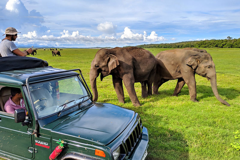 Kaudulla National Park
