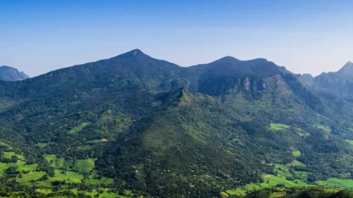 Knuckles Mountain Trekking and Camping