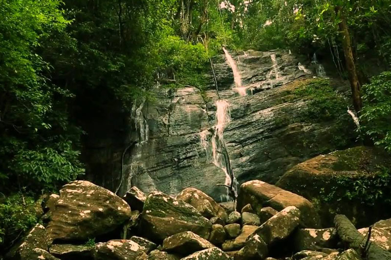 Sinharaja Forest Reserve