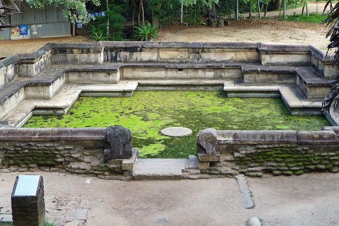 The Royal Gardens