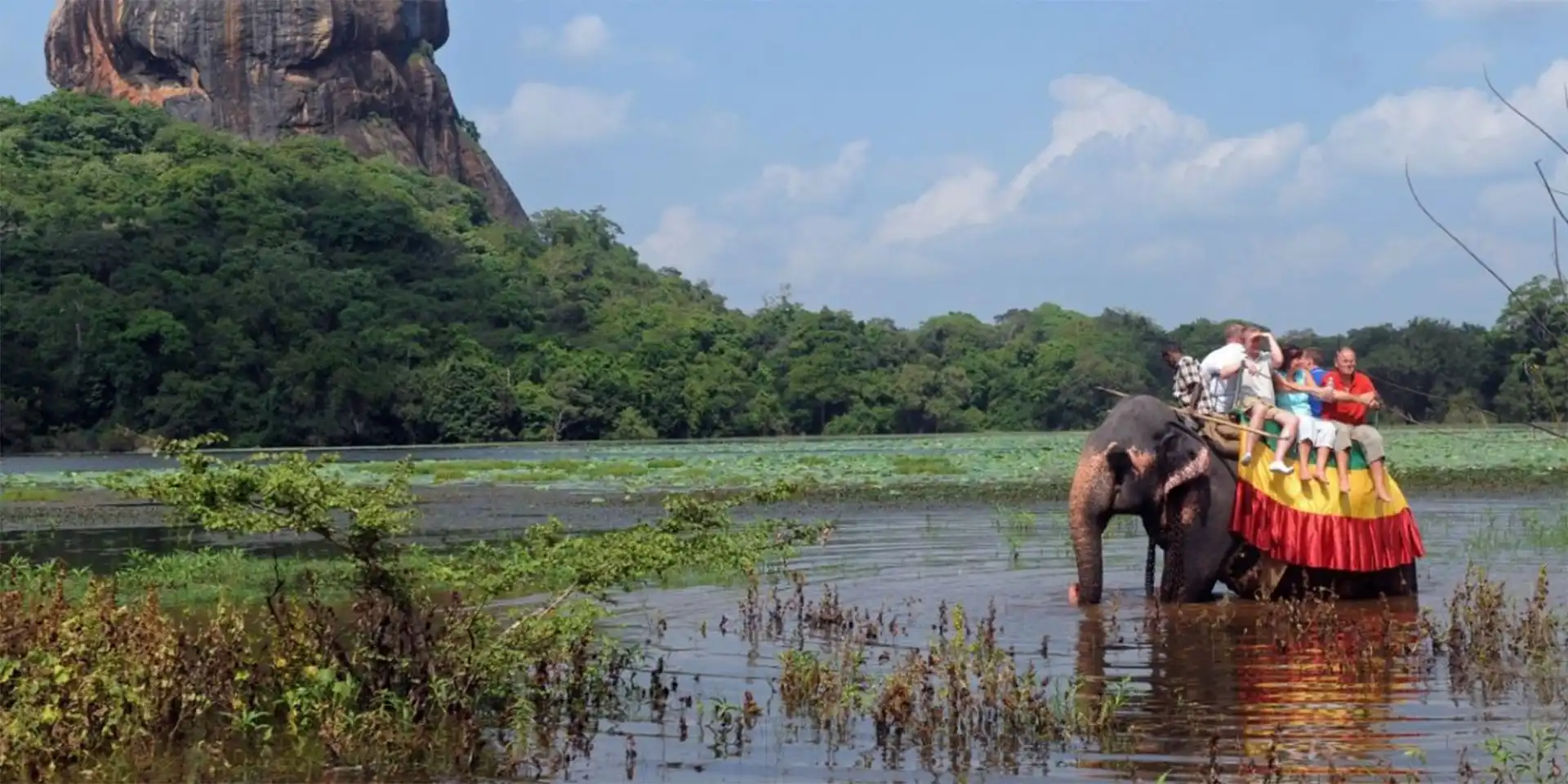 Elephant Ride in Sigiriya