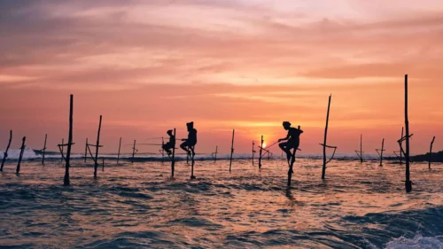Fishing Adventure at Negombo Lagoon