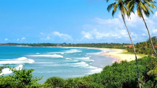 Bentota